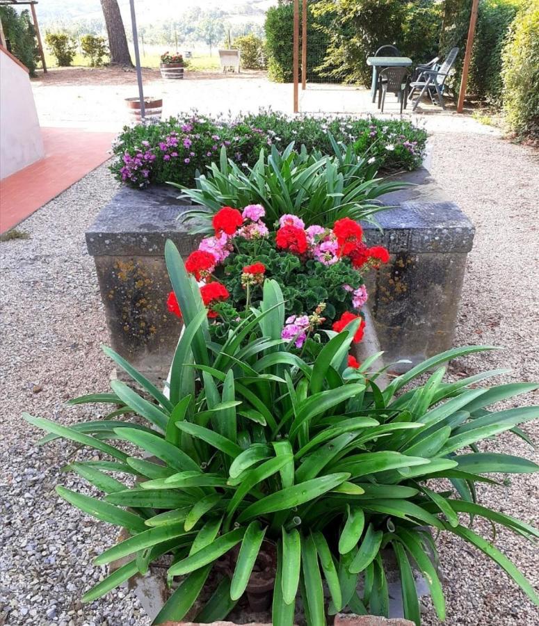 Agriturismo Boschetto Di Montiano Montiano  Exterior photo