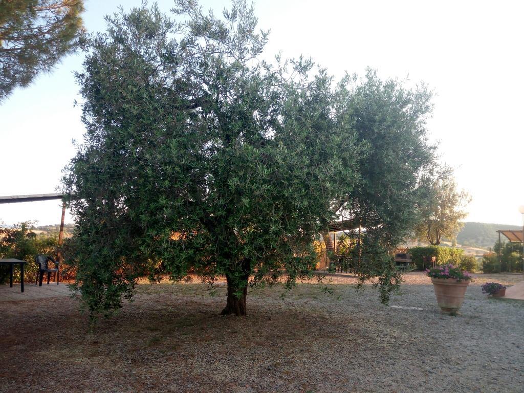 Agriturismo Boschetto Di Montiano Montiano  Exterior photo